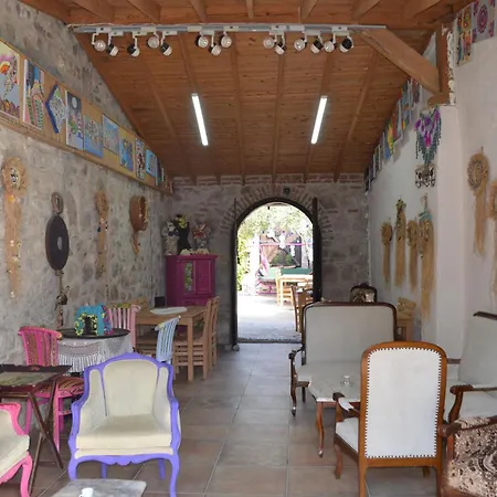 Nezis'in Konagi * Ayvalı