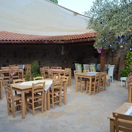 Nezis'in Konagi Hotel